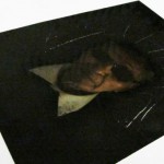 théorie-des-humeurs6